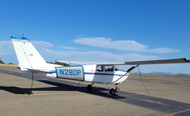 Cessna 175 Skylark (N28DP)