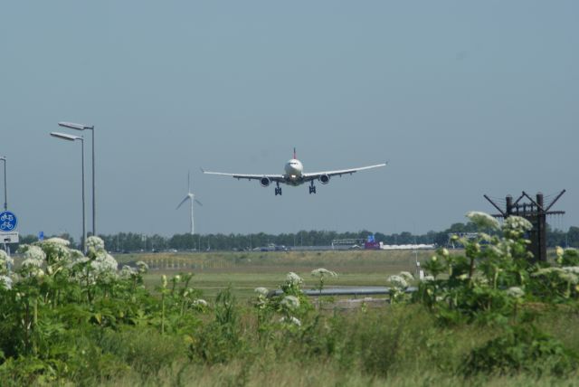 Airbus A330-300 (N821NW) - Delta A330-323 Final Approach RWY18R