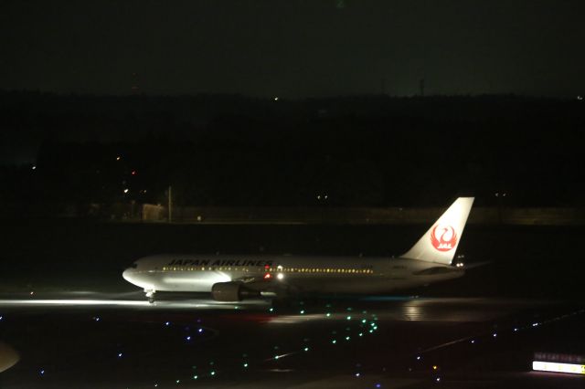 BOEING 767-300 (JA613J)