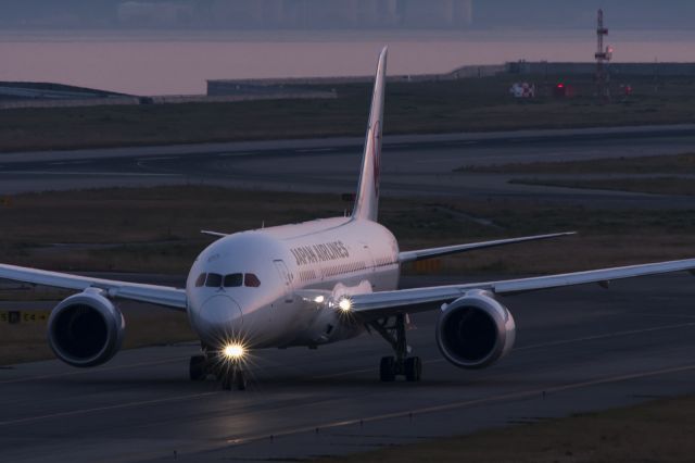 Boeing 787-8 (JA822J)