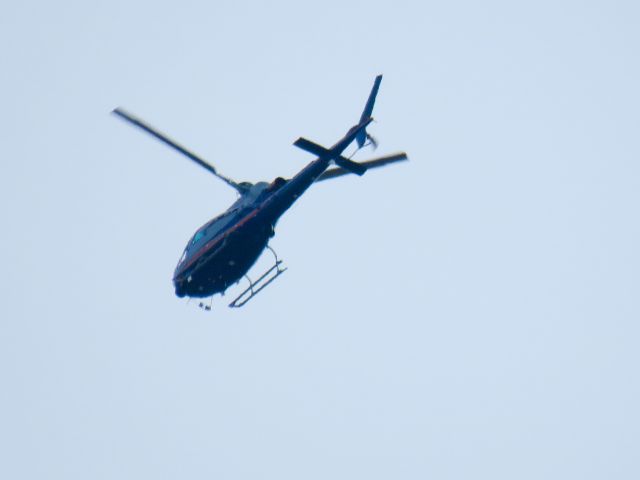 Eurocopter AS-350 AStar (N203Z)