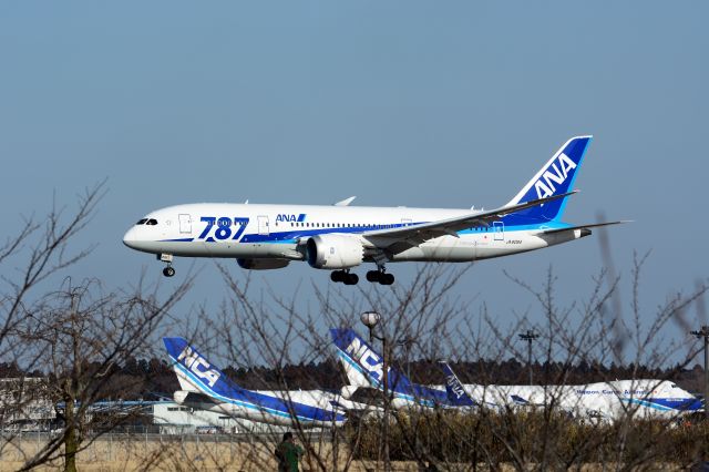 Boeing 787-8 (JA806A)