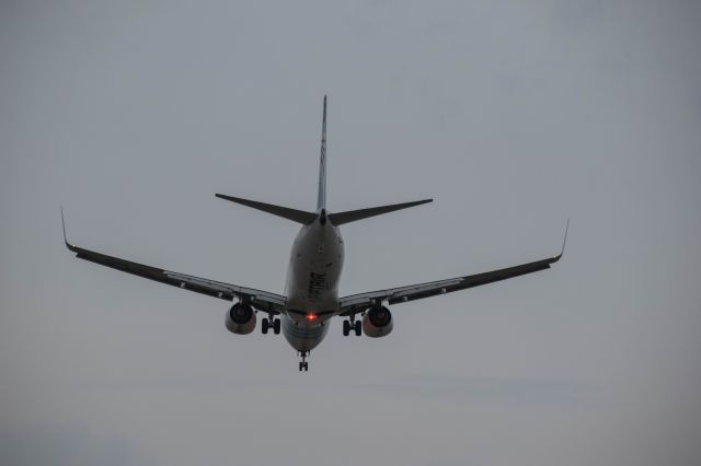 Boeing 737-700 (SU-GED) - Landing on 35L at Malpensa