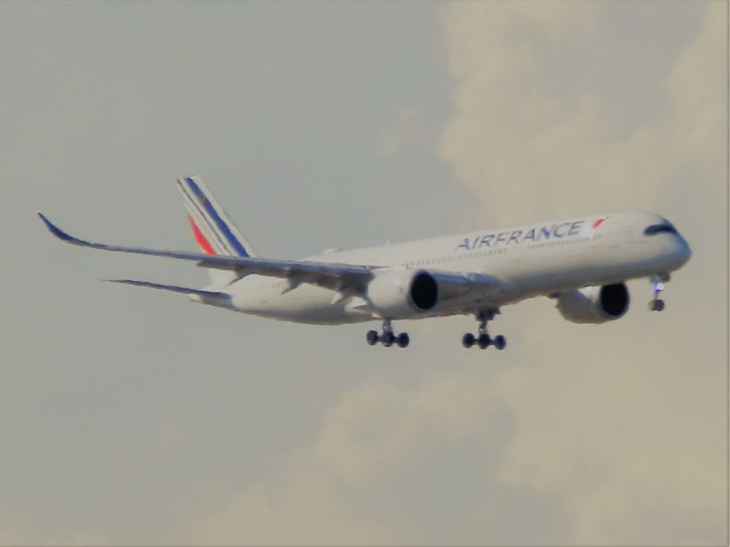 Airbus A350-900 (F-HTYF) - Arriving from Paris, Charles de Gaulle(Roissy){LFPG}