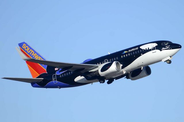 Boeing 737-700 (N713SW) - Southwest 737-7H4 N713SW Shamu was delivered to Southwest on June 8, 1998.