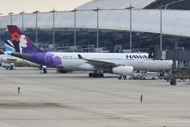 Airbus A330-200 (N380HA)