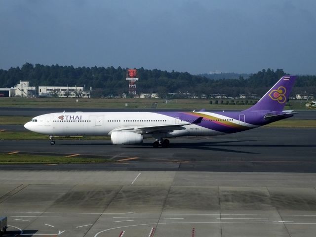 Airbus A330-300 (HS-TEO)