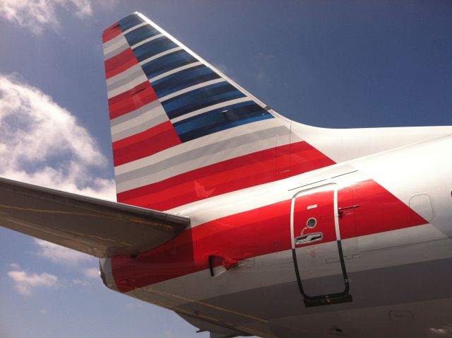 Boeing 737-800 (N980AN) - New American Airlines 737-800 tail