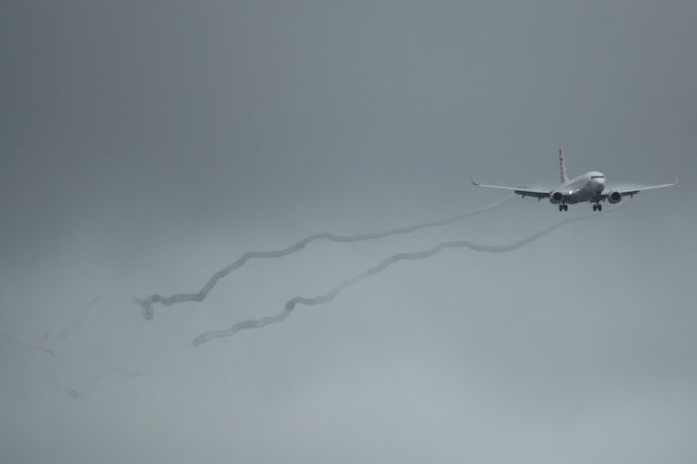 Boeing 737-800 (VH-YFF)