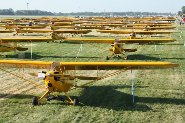 Piper NE Cub — - All 181 Piper Cubs at AirVenture 2012. Taken from Nikon photo deck.