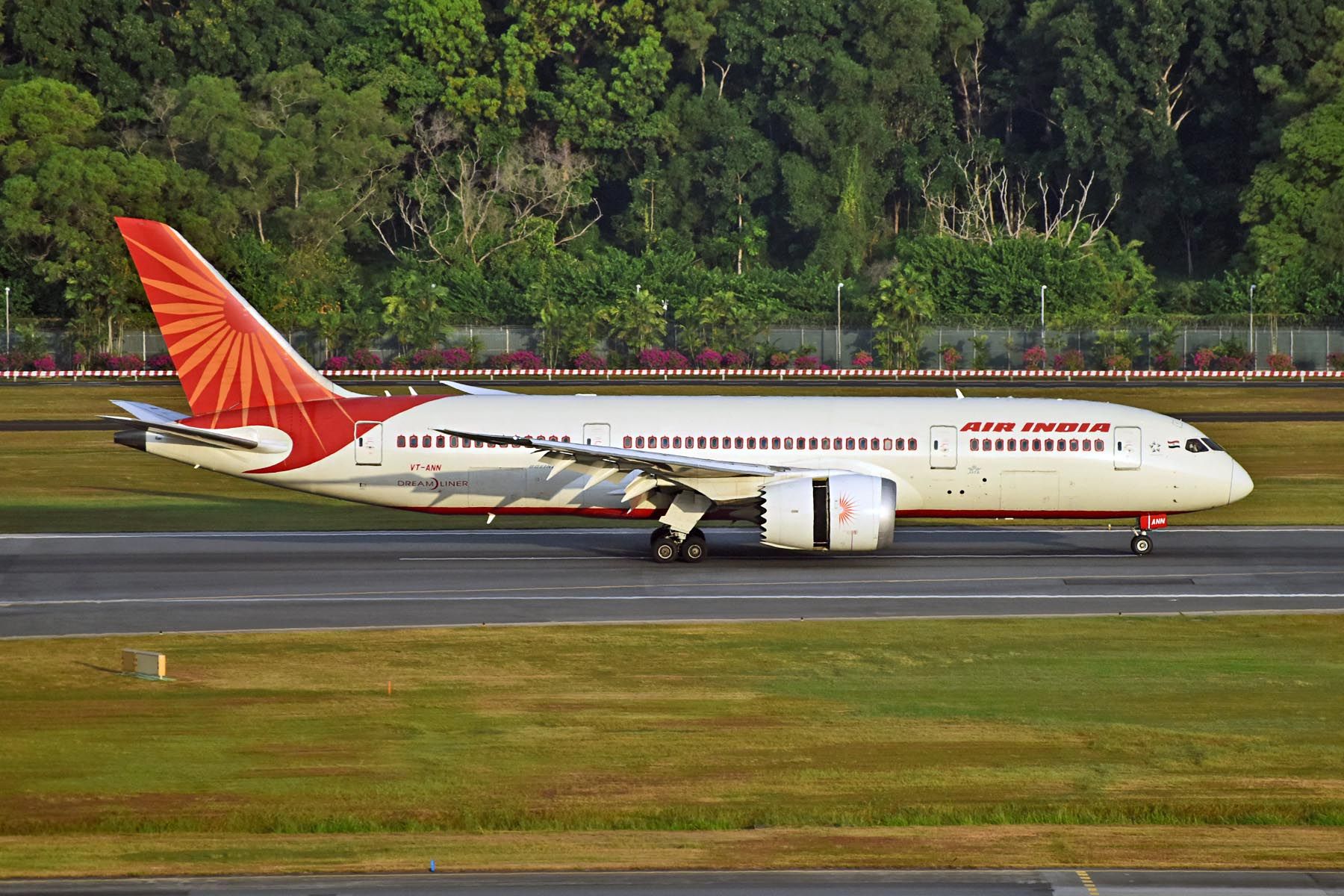 Boeing 787-8 (VT-ANN)