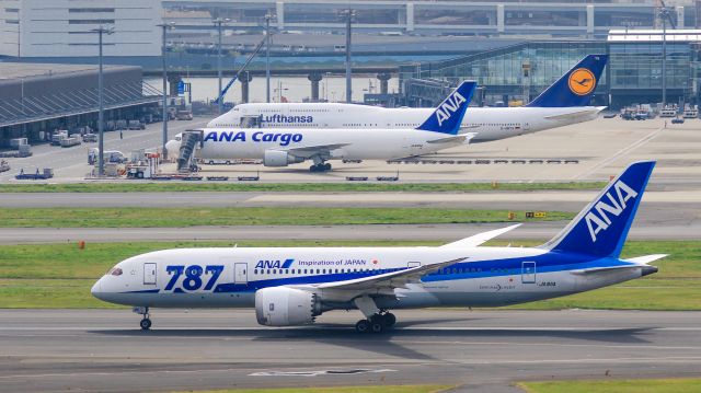 Boeing 787-8 (JA811A) - All Nippon Airways / Boeing 787-881br /Apr.06.2016 Tokyo International Airport [HND/RJTT] JAPAN