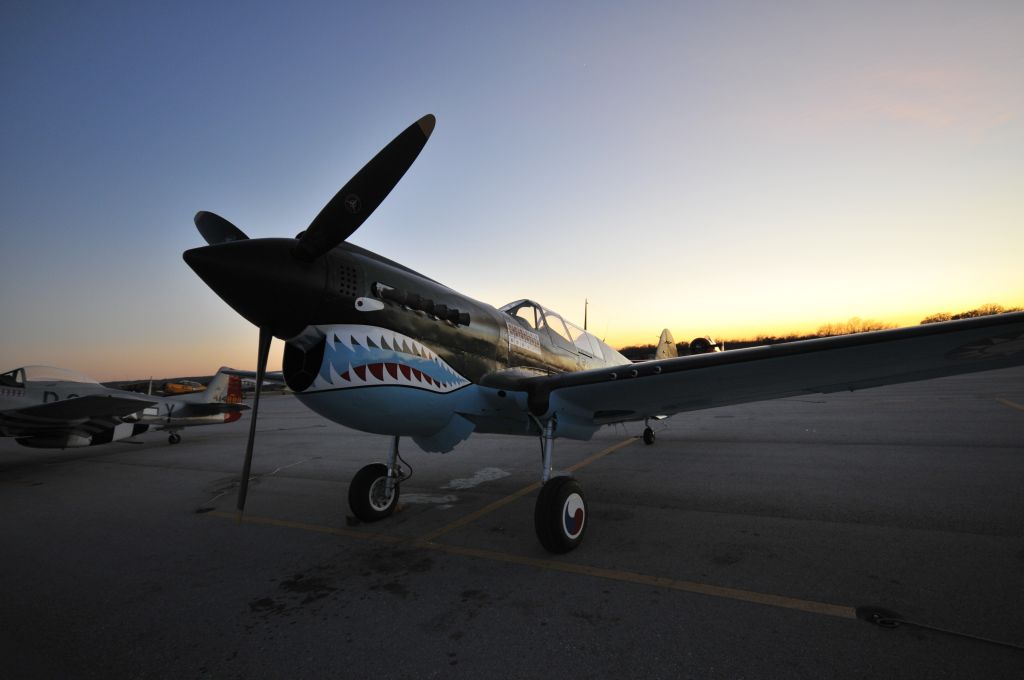 CURTISS Warhawk (CAF) - David Lee Tex Hill - Flying Tigers