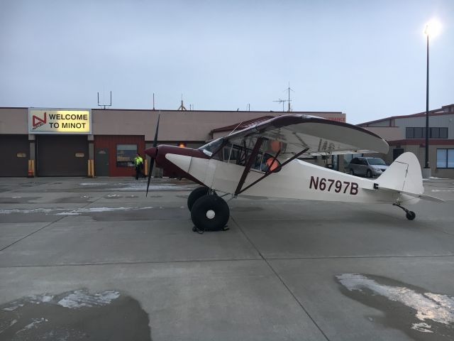 Piper L-21 Super Cub (N6797B)