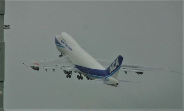 Boeing 747-200 (JA8188) - KSFO - Jan or Feb 2005 shows NCA Cargo 747-200F on a steep climb out of Runway 1L at San Francisco. Riding the Tram up top and getting off at each Tram station to see what views I can get, and what aircraft that might be hidden from view around the next Terminal, always ending back up at International Terminal G.