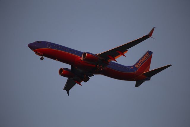 Boeing 737-800 (N8626B)
