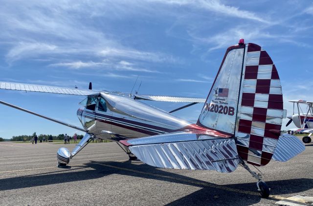 TEMCO Silvaire (N2020B) - My Luscombe at the Garrett county wings and wheels fly in