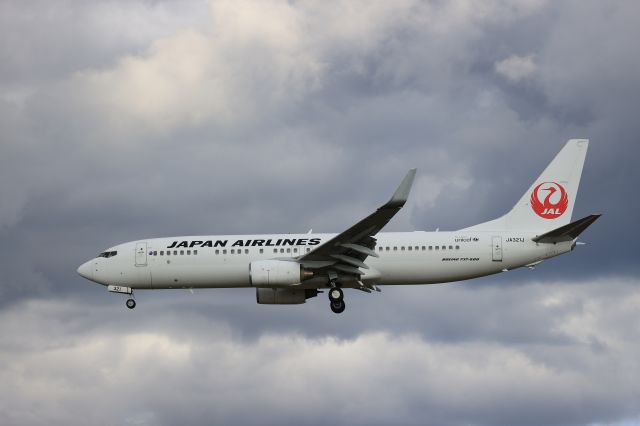 Boeing 737-800 (JA321J) - November 4th 2021:NRT-HKD.