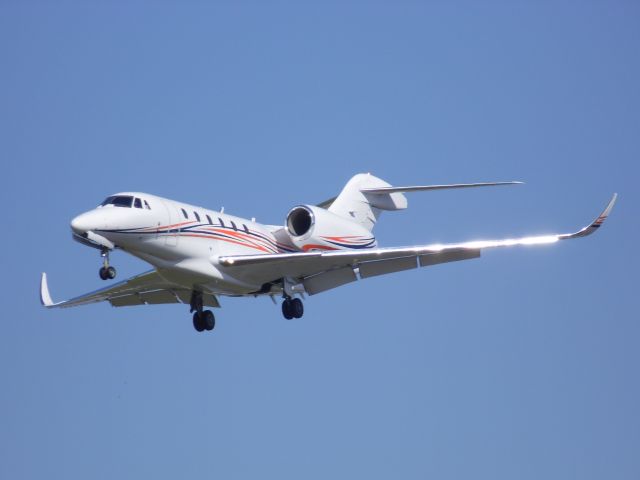 Cessna Citation X — - Cessna Citation Landing Runway 25L at LAX.