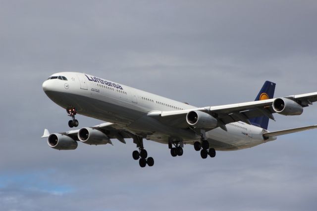 Airbus A340-300 (D-AIGS) - Arriving on 24L from Dusseldorf (EDDL)