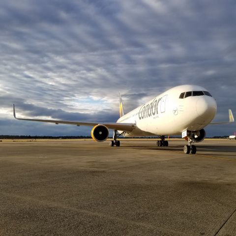 BOEING 767-300 (D-ABOU) - Clean ramp, nice sky makes the plane look like an RC, until it gets closer