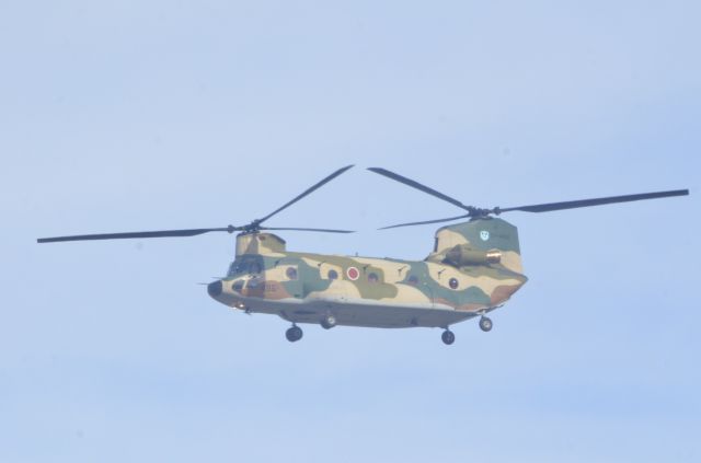 ASAP Chinook —
