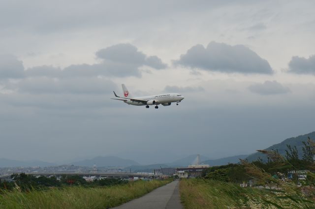 Boeing 737-800 (JA333J)