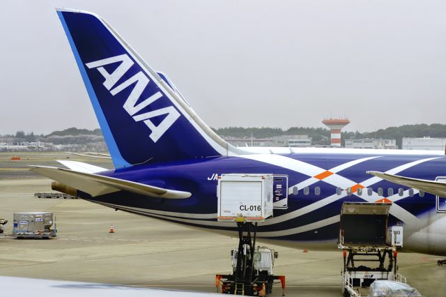 Boeing 787-8 (JA802A) - 6th April, 2015