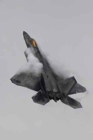 — — - F-22A Raptor, USAF