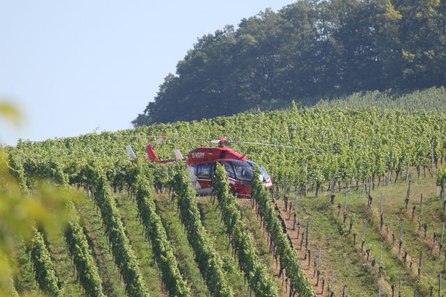 D-HDPP — - Gelandet .... Rettungshubschraubereinsatz (Christopher 51, CHX51) am 30.06.2018 in den Weinbergen zwischen Kleinbottwar und Großbottwar.