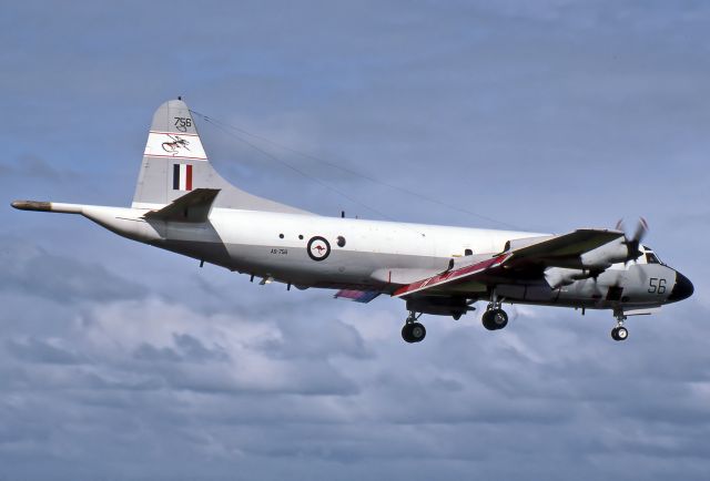 A9756 — - AUSTRALIA - AIR FORCE - LOCKHEED P-3C ORION - REG A9-756 (CN 285D-5666) - EDINBURGH RAAF BASE ADELAIDE SA. AUSTRALIA - YPED 27/8/1984