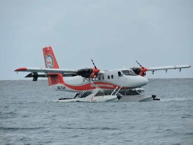 De Havilland Canada Twin Otter (8Q-TAH) - ON BEACH AT KURAMATHI ISLAND PLANE JUST LANDED