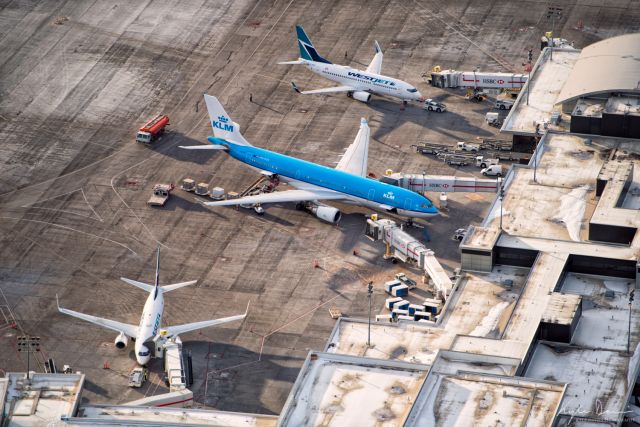 Airbus A330-300 (PH-AOA) - Air to Ground