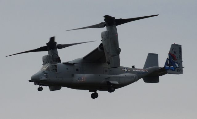 Bell V-22 Osprey — - Osprey landing at IAG!