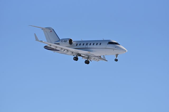 Canadair Challenger (TC-RSF) - Landing runway 26 (medevac)