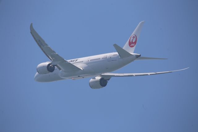 Boeing 787-8 (JA829J)