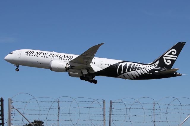 Boeing 787-9 Dreamliner (ZK-NZF) - NZ161 to PER, on 24 December 2016