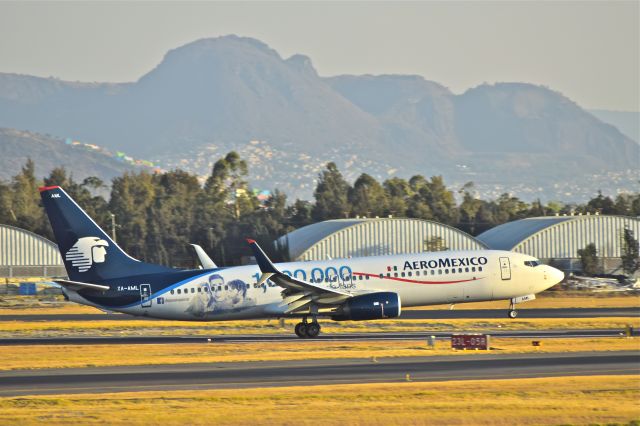 Boeing 737-800 (XA-AML) - Boeing 737-852, MSN 36707, with AeroMexico´s promotional one million of fans from theirs facebook page. Landing on 23L runway in Mexico City International Airport.