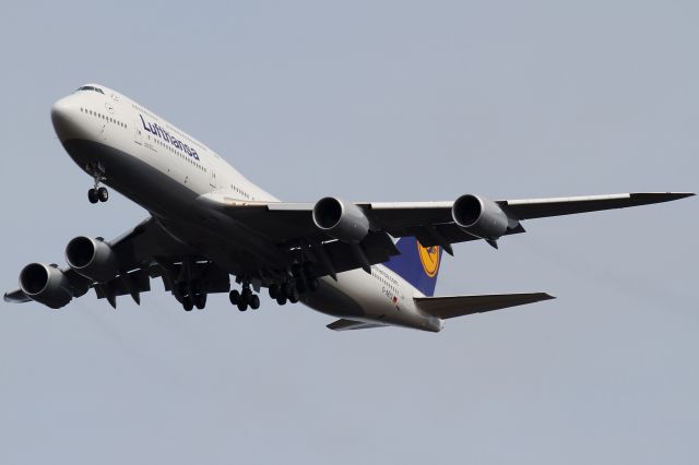 BOEING 747-8 (D-ABYG) - grey sky in Frankfurt