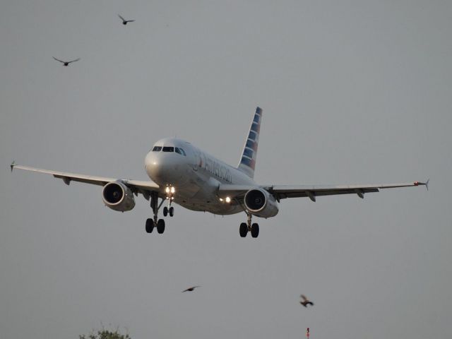 Airbus A319 (N817AW)