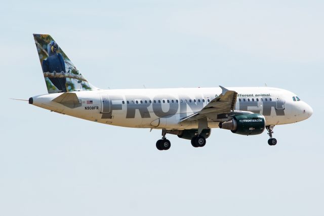 Airbus A319 (N908FR) - 10/03/2015 Frontier N908FR A319 KDFW - Hyacinth Macaw