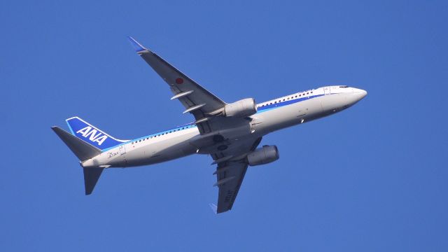 Boeing 737-800 (JA73AN)