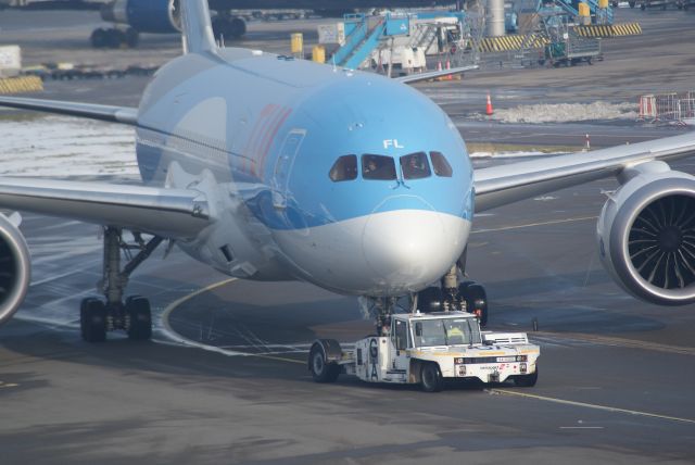 Boeing 787-8 (PH-TFL) - TUI B787-8 Dreamliner cn37228