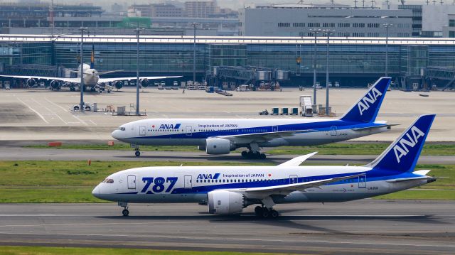 Boeing 787-8 (JA811A) - All Nippon Airways / Boeing 787-881br /Apr.06.2016 Tokyo International Airport [HND/RJTT] JAPAN