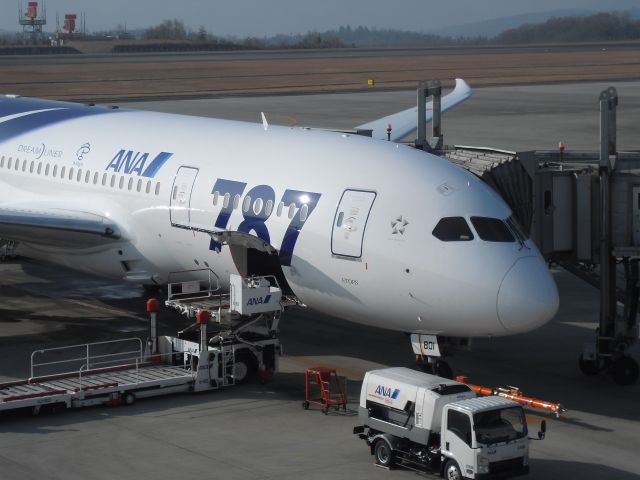 Boeing 787-8 (JA801A)