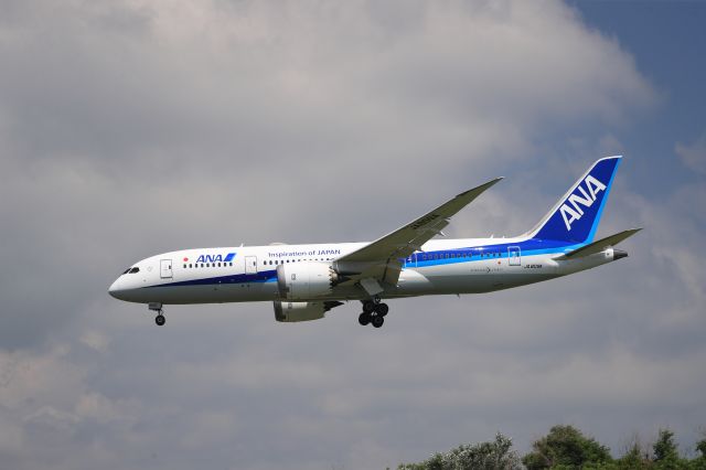 Boeing 787-8 (JA809A) - August 3rd 2019:HND-HKD.