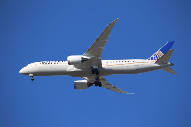 Boeing 787-9 Dreamliner (N19951)