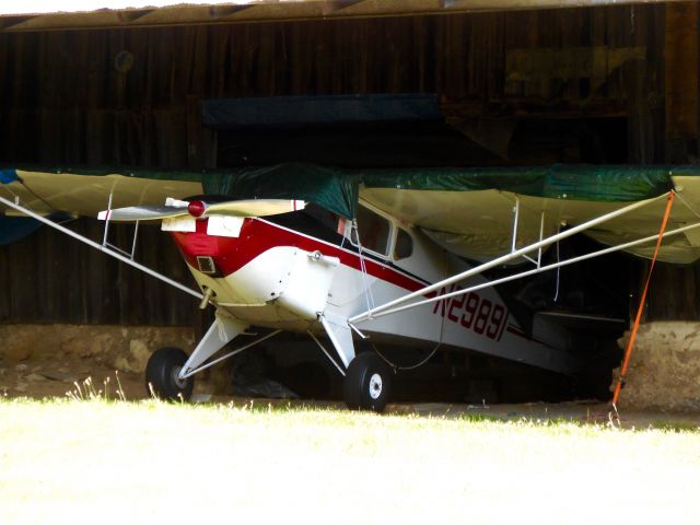 TAYLORCRAFT (1) BL (N29891)