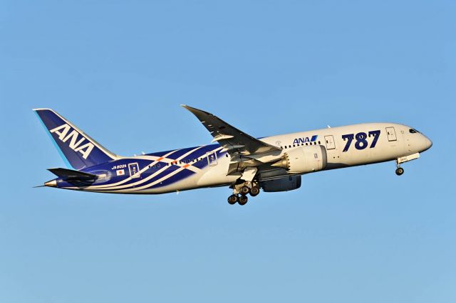 Boeing 787-8 — - Worlds second B788 in service