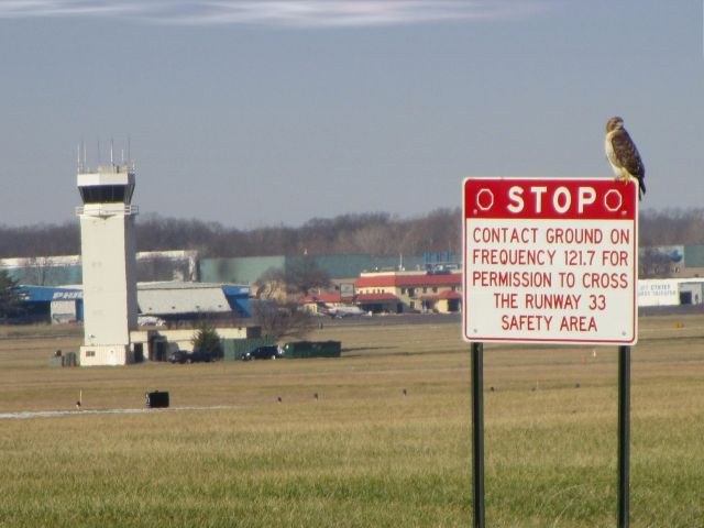 — — - Actually there is a Hawker H25B at the center of the photo N864DC that I posted as it was landing half hour earlier.  The winged star here is a Hawk perched on the stop sign. Also in the photo is the control tower on this wonderful winter day in 2014.  